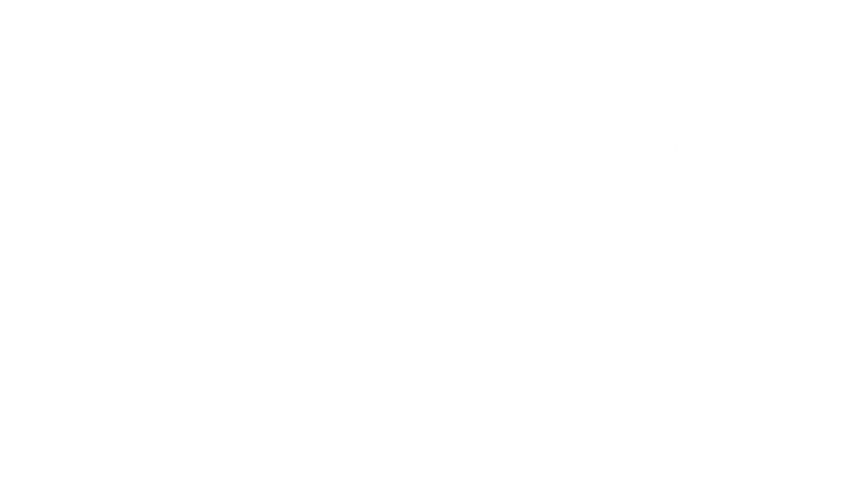 grupo gustavo borges